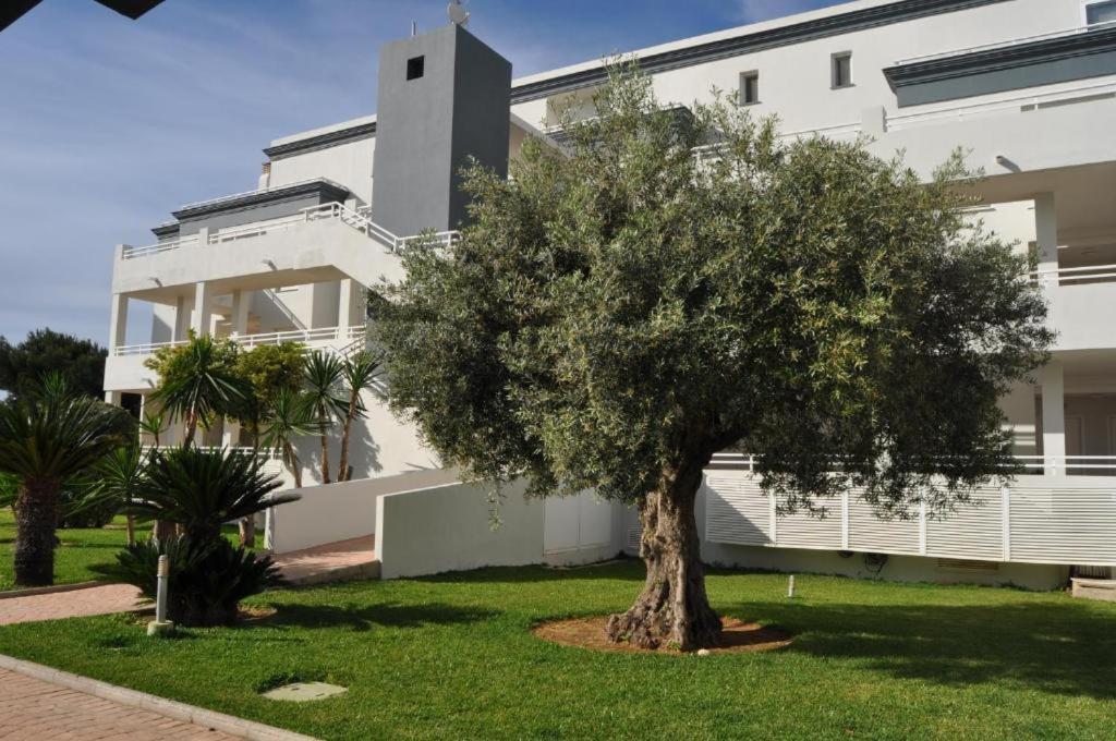 Oasis Hoyo 12 - Oliva Nova Playa Met&Golf Apartment Екстериор снимка