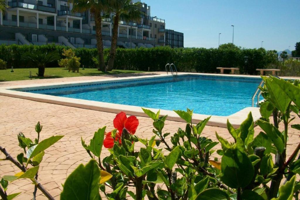 Oasis Hoyo 12 - Oliva Nova Playa Met&Golf Apartment Екстериор снимка